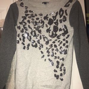Express Sweater